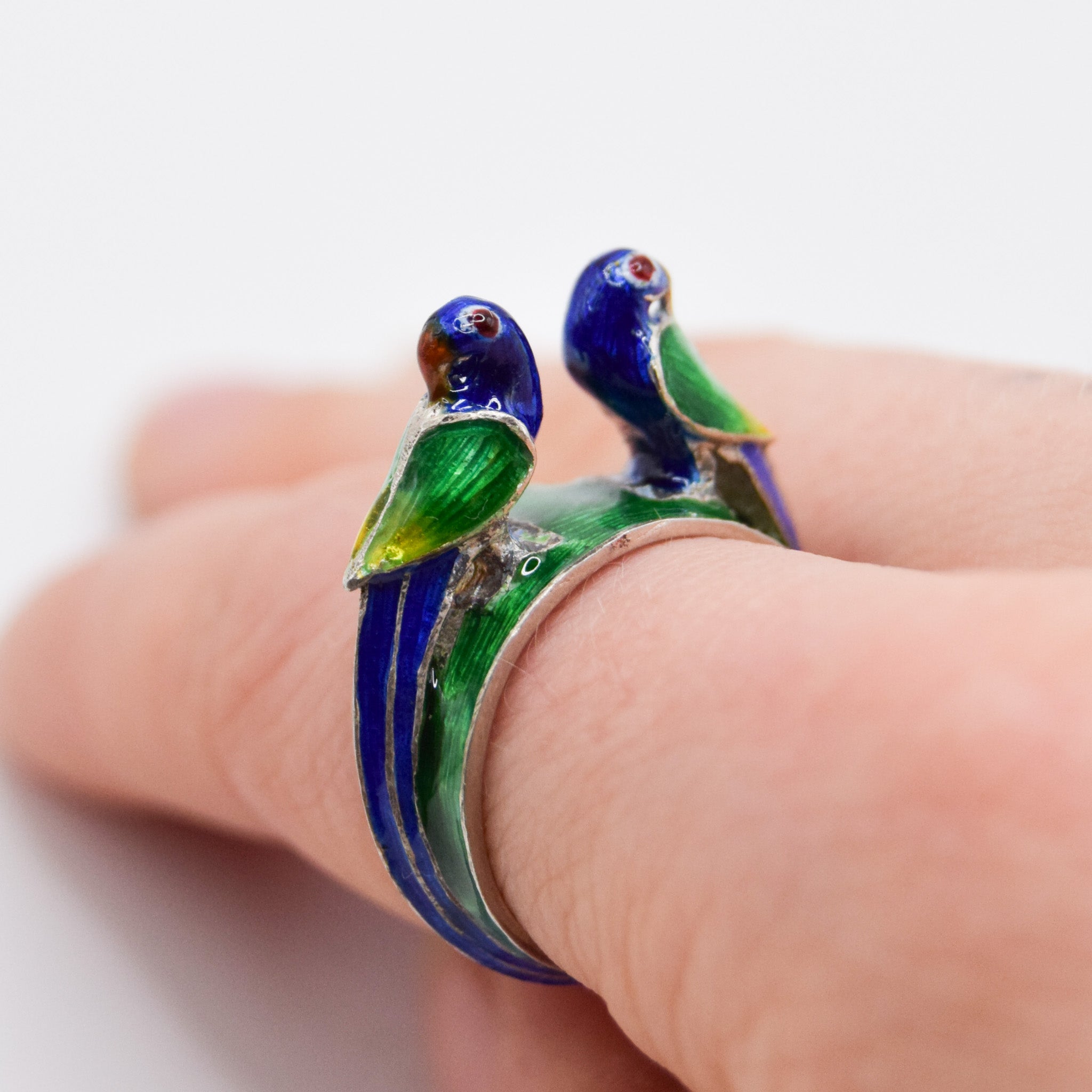 Bird Ring