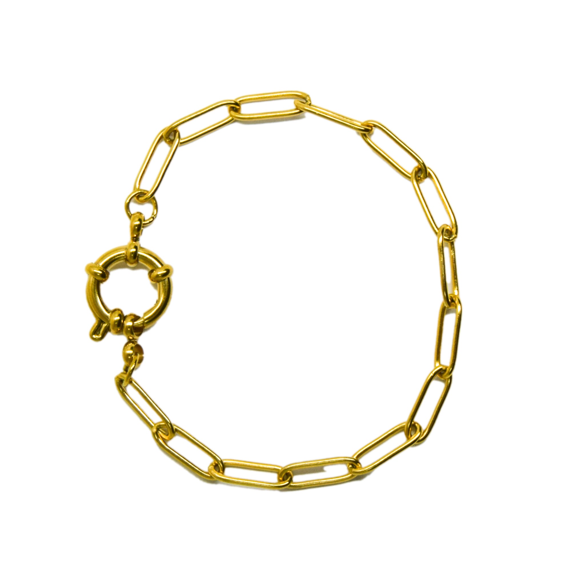 Vissen Blauwe Kant Agaat Armband
